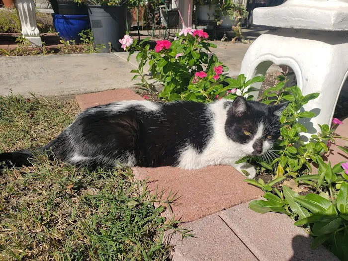 Sun City Veterinary Clinic Picture 1