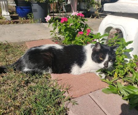 Sun City Veterinary Clinic