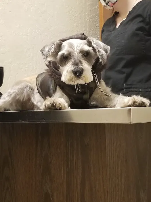 Sun City Veterinary Clinic Picture 6