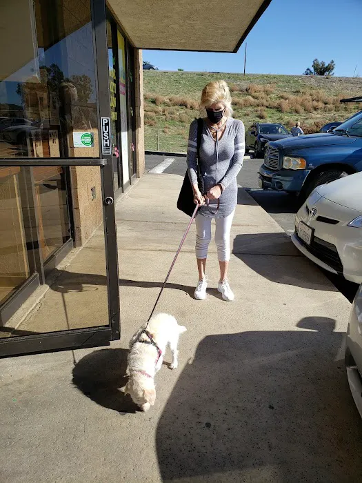 Sun City Veterinary Clinic Picture 5