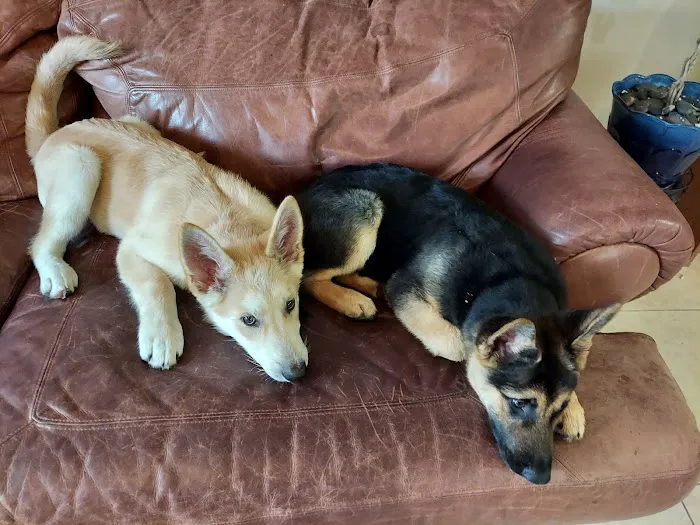 Menifee Animal Hospital Picture 2