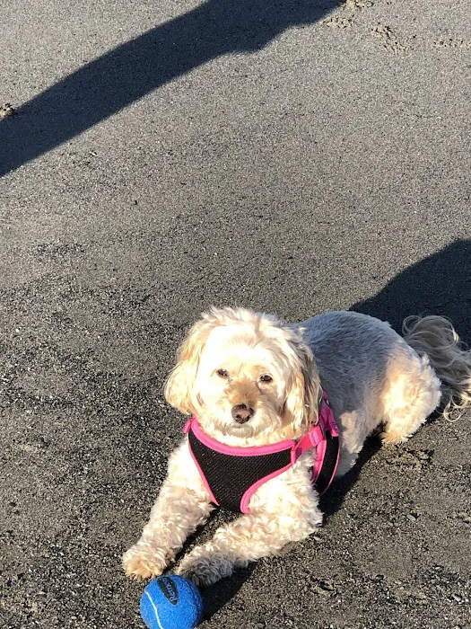 Menifee Animal Hospital Picture 1