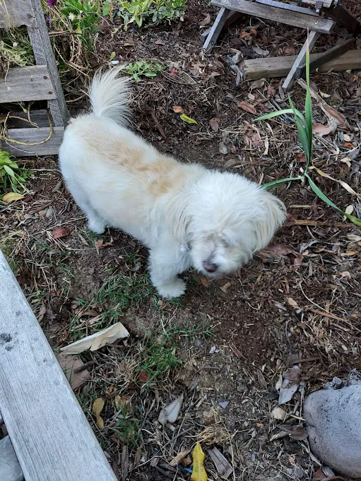 Menifee Animal Hospital Picture 3