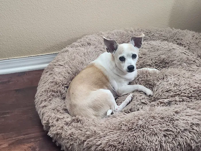 Menifee Animal Hospital Picture 6