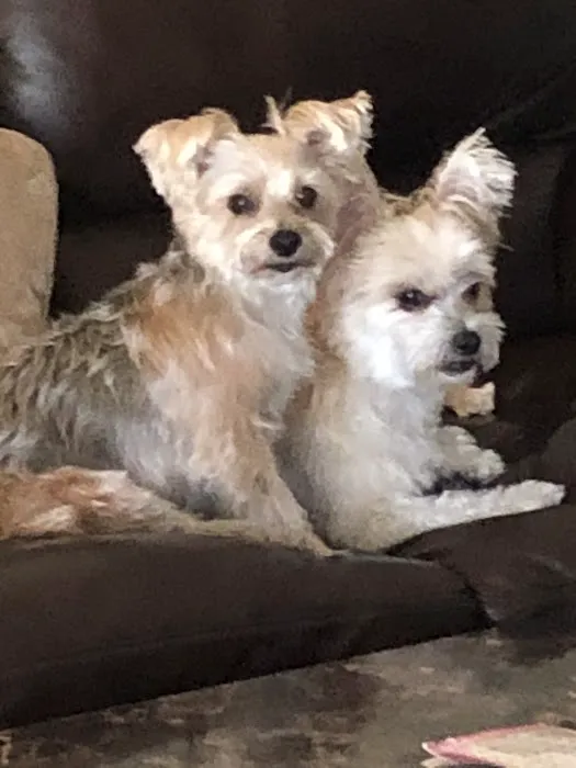 Menifee Animal Hospital Picture 5