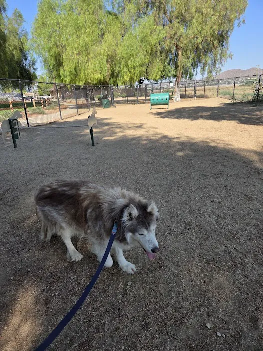 Menifee Animal Hospital Picture 10