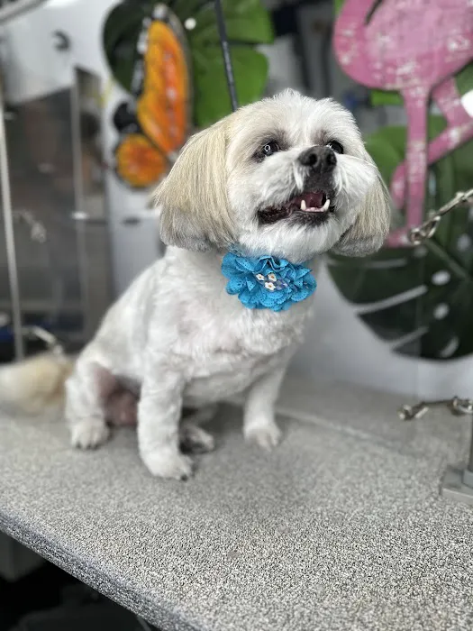 Menifee Animal Hospital Picture 9