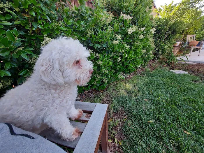 Menifee Animal Hospital Picture 7