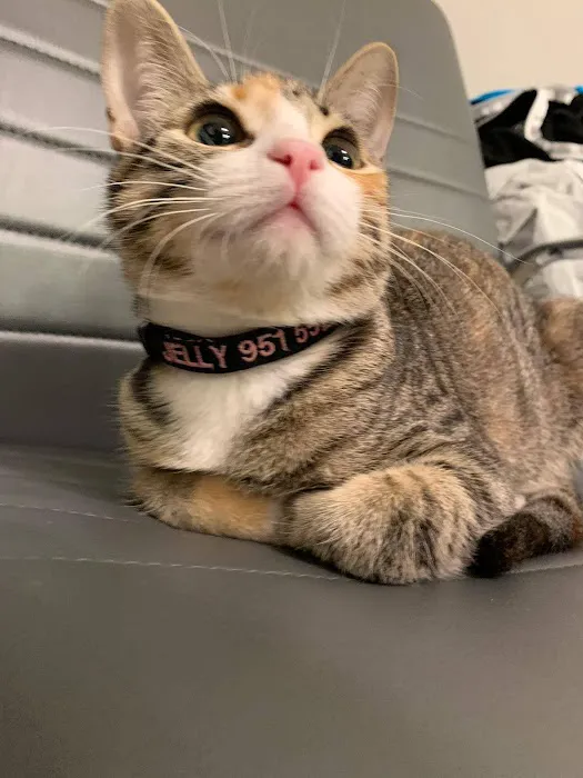 Vetco Total Care Animal Hospital Picture 2