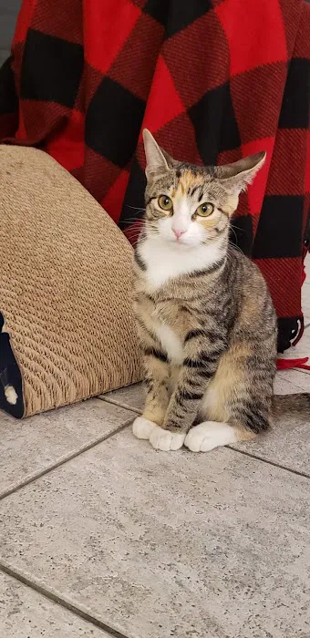 Vetco Total Care Animal Hospital Picture 1