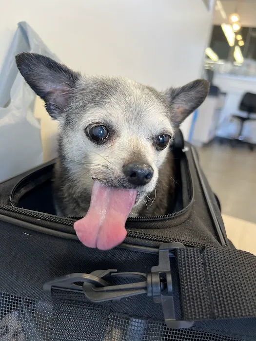 Vetco Total Care Animal Hospital Picture 5