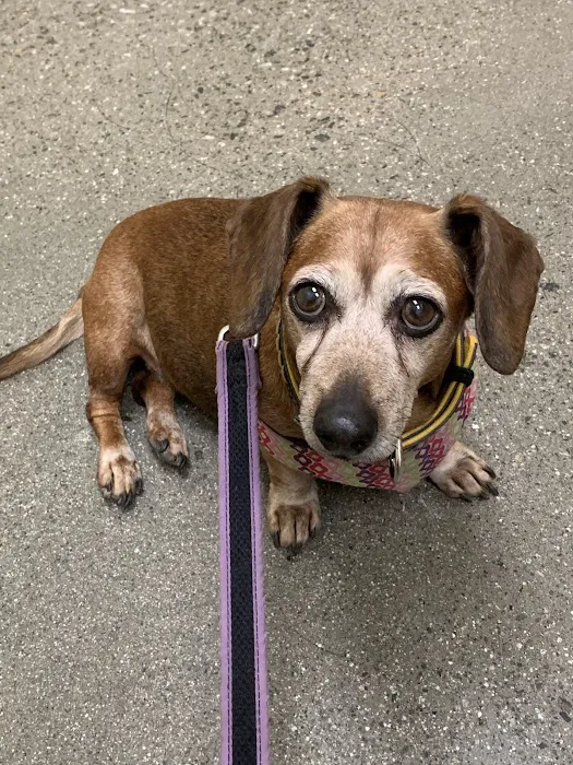 Vetco Total Care Animal Hospital Picture 6