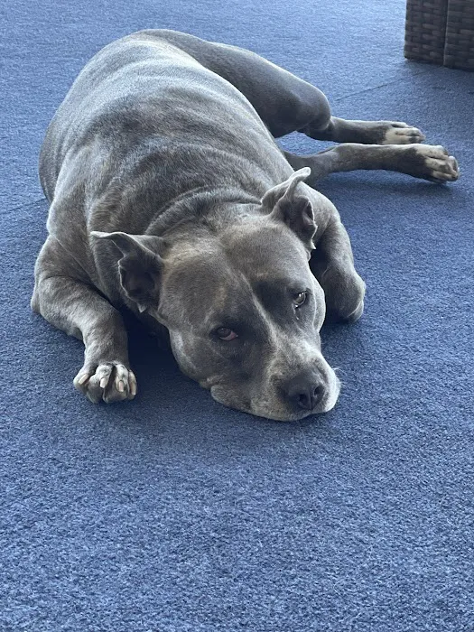 Vetco Total Care Animal Hospital Picture 9