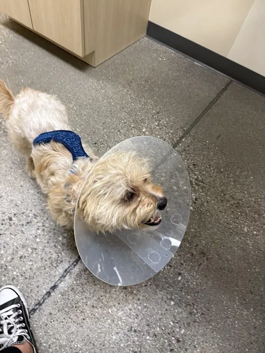 Vetco Total Care Animal Hospital Picture 7