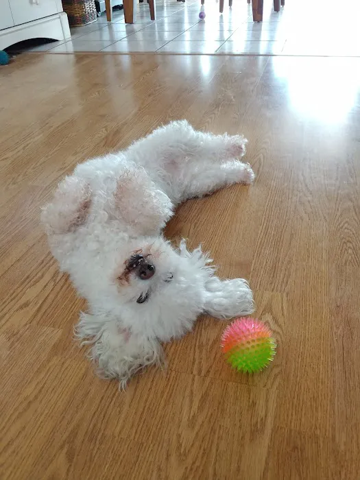 Menifee Valley Animal Clinic Picture 1