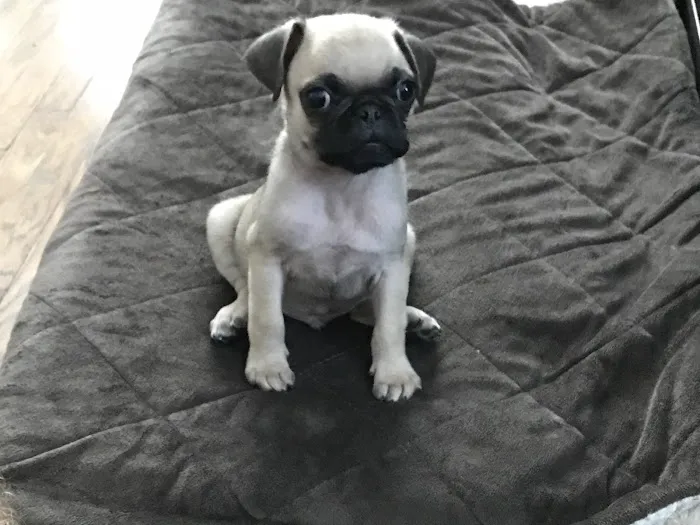 Menifee Valley Animal Clinic Picture 7