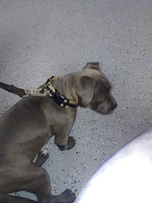 Nuevo Road Animal Hospital Picture 4