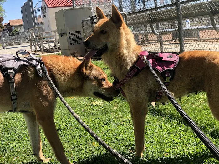 Nuevo Road Animal Hospital Picture 5