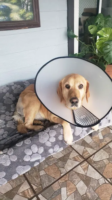 Nuevo Road Animal Hospital Picture 3