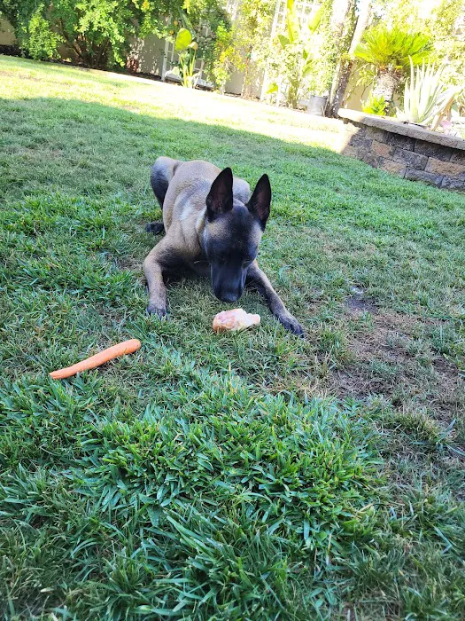 Nuevo Road Animal Hospital Picture 9