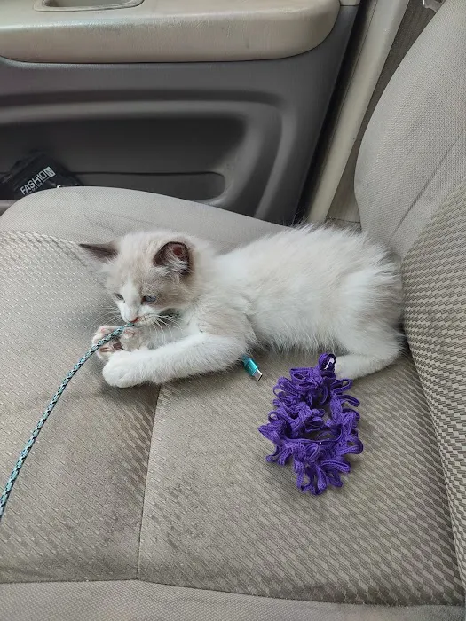 Nuevo Road Animal Hospital Picture 7