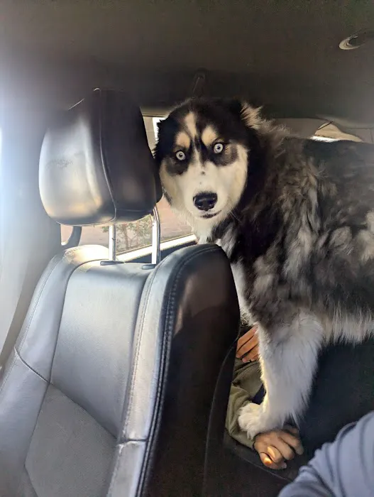 Nuevo Road Animal Hospital Picture 10