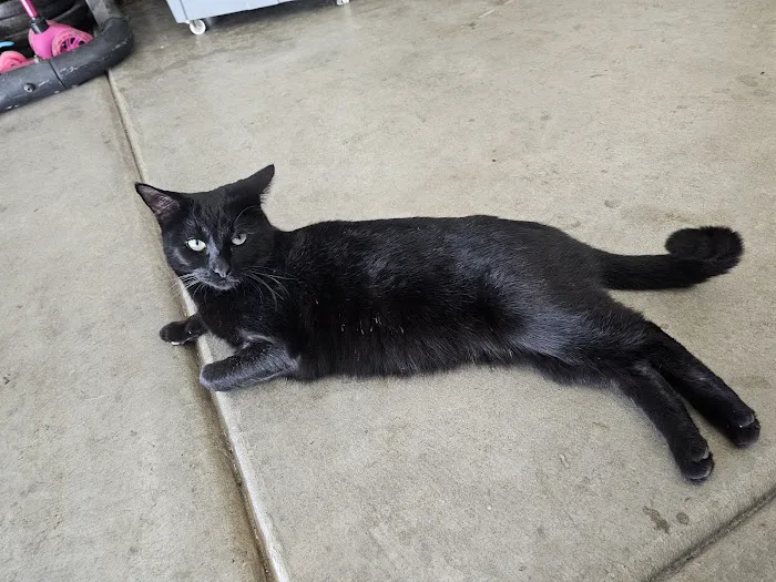 Perris Animal Hospital Picture 2