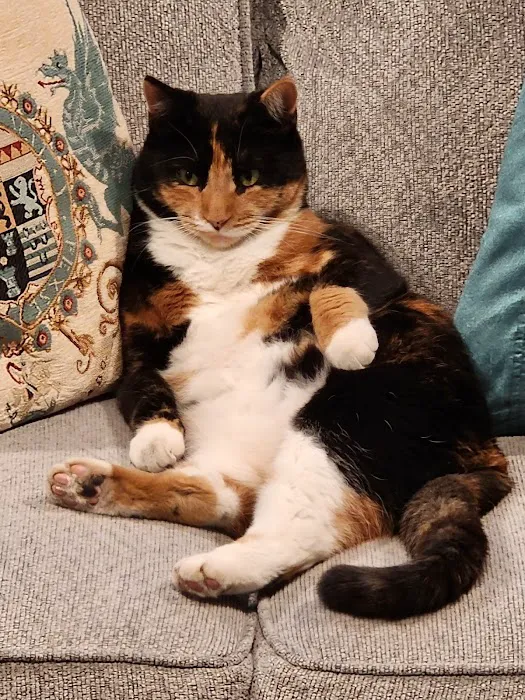 Perris Animal Hospital Picture 3