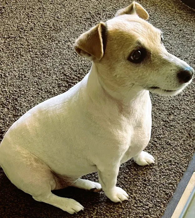 Perris Animal Hospital Picture 5