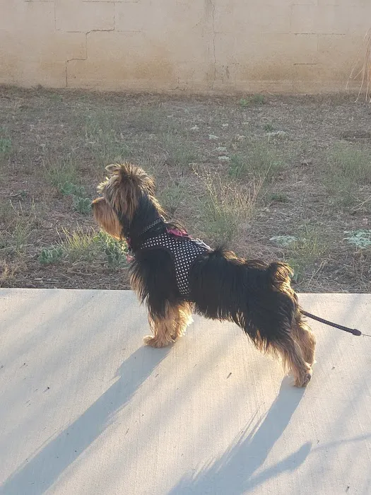 Perris Animal Hospital Picture 6