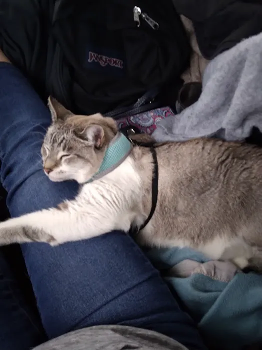 Perris Animal Hospital Picture 7