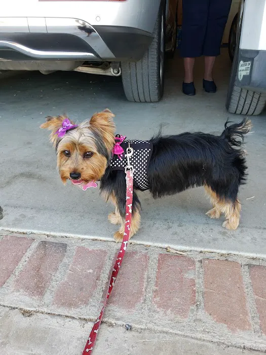 Perris Animal Hospital Picture 9