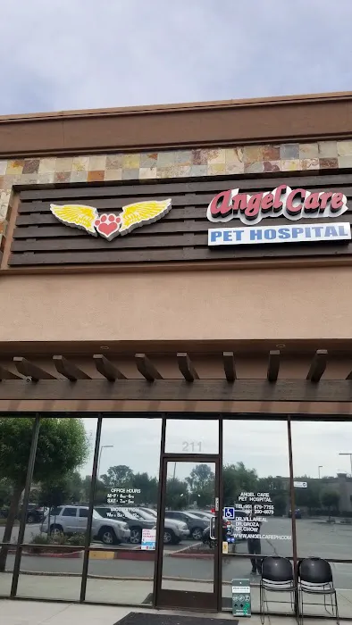 Angel Care Pet Hospital Picture 4