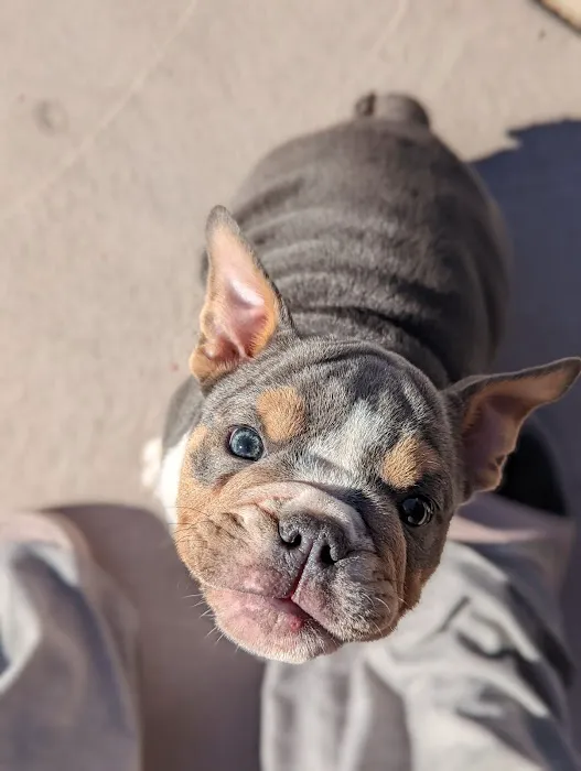 Angel Care Pet Hospital Picture 5