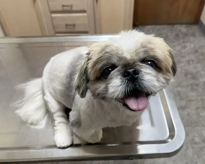 Eastview Veterinary Clinic Picture 1