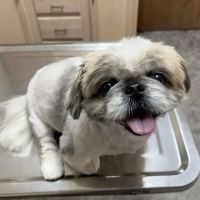 Eastview Veterinary Clinic ico