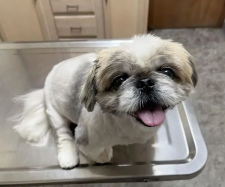 Eastview Veterinary Clinic