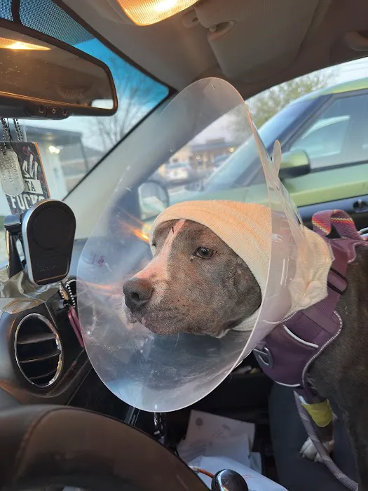 Eastview Veterinary Clinic Picture 2