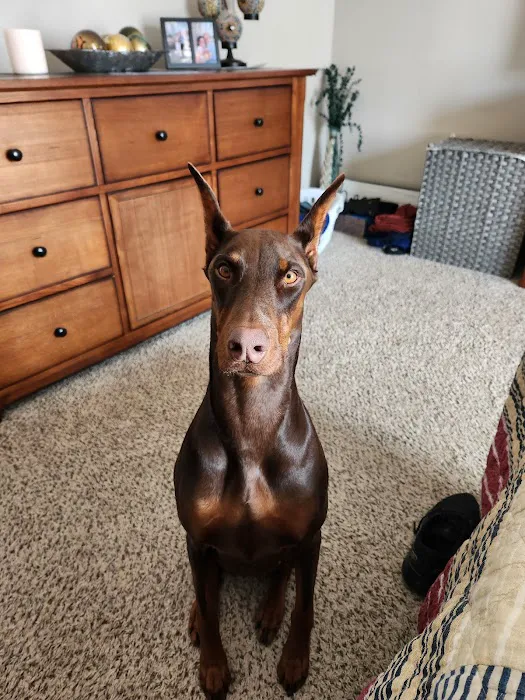 Eastview Veterinary Clinic Picture 3