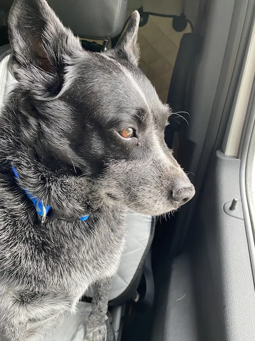 Eastview Veterinary Clinic Picture 6