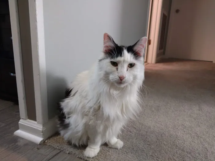 Eastview Veterinary Clinic Picture 5