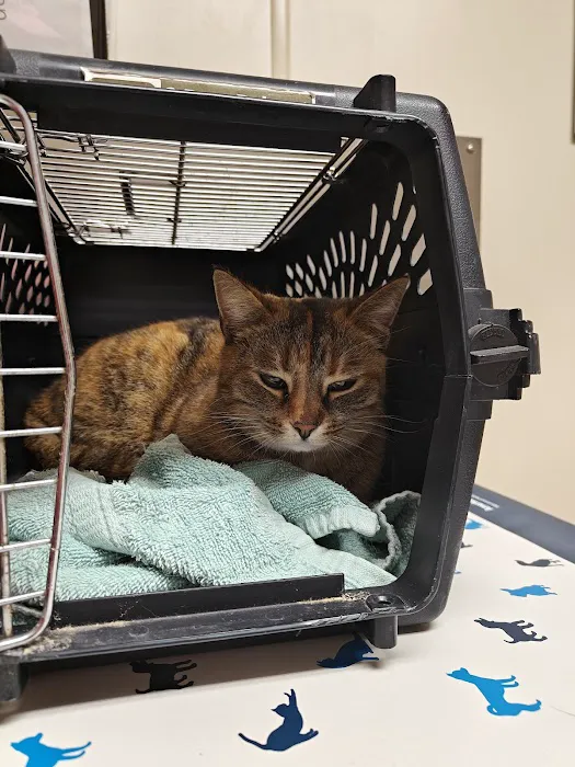 Eastview Veterinary Clinic Picture 7