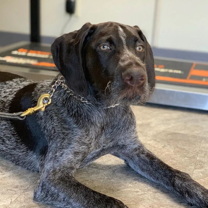 Eastview Veterinary Clinic Picture 10