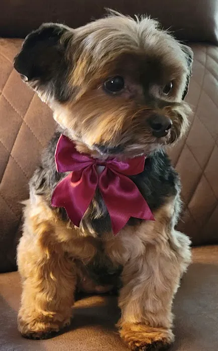 Eastview Veterinary Clinic Picture 8