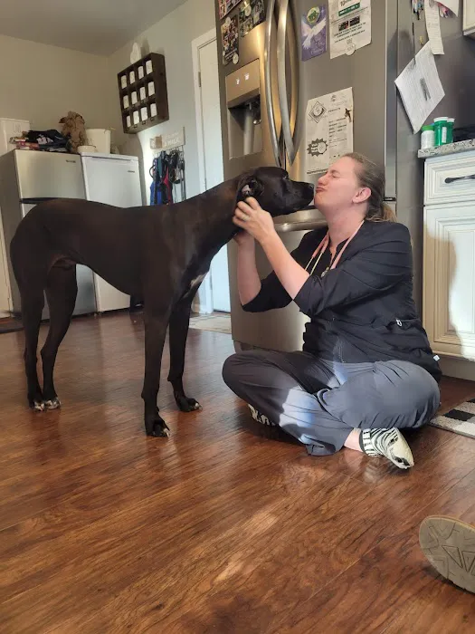 Little Angels Veterinary Urgent Care Services Picture 10