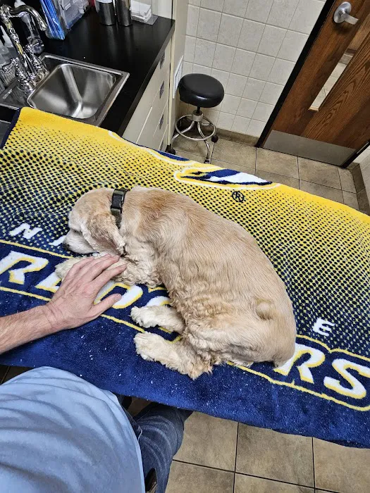 St Bethlehem Animal Clinic Picture 7