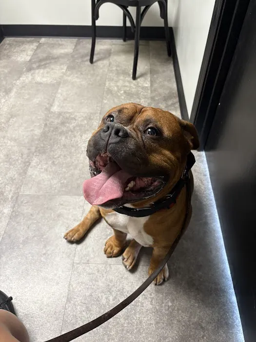 All God's Creatures Veterinary Clinic Picture 2