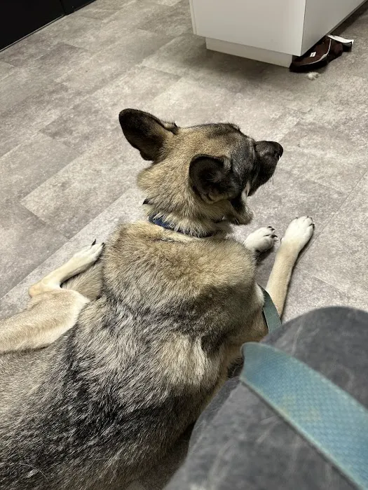 All God's Creatures Veterinary Clinic Picture 3