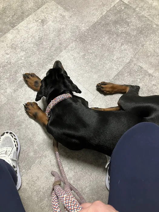 All God's Creatures Veterinary Clinic Picture 5