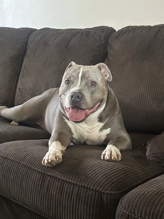 Blake Veterinary Clinic Picture 3